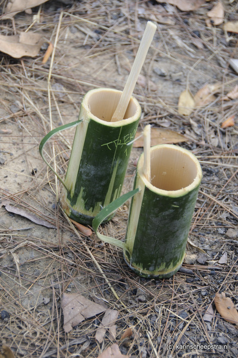 bamboe bekers -foto: karin scheepstra-